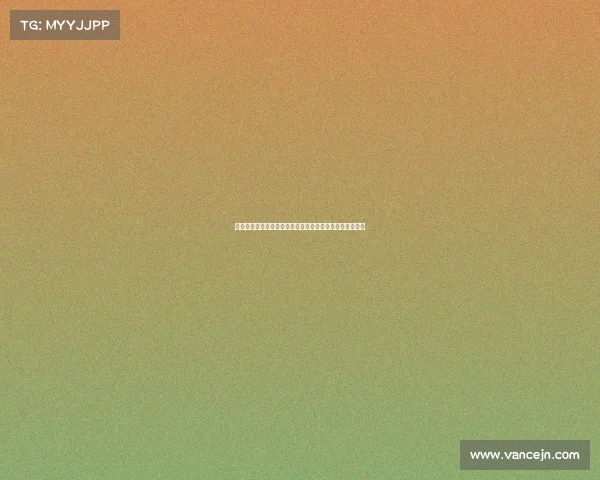 荷兰杯足球赛事规则全面解析涵盖赛程球队资格与纪律守则